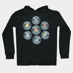 Lazy Birds Hoodie